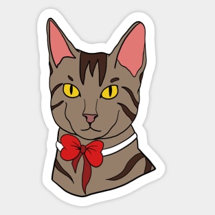 Pretty Kitty Sticker